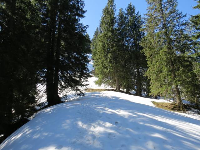 ...auf dem mit jedem Schritt mehr Schnee liegt
