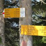 rasch erreichen wir den ausgedehnten Grat des Gschwändstock 1590 m.ü.M.