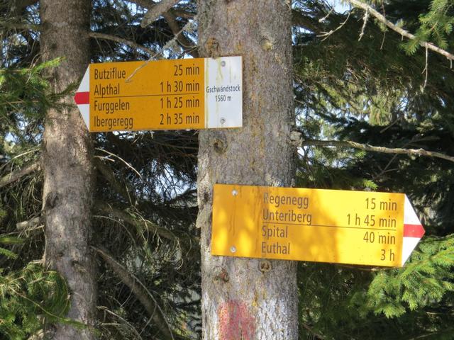 rasch erreichen wir den ausgedehnten Grat des Gschwändstock 1590 m.ü.M.