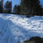 in einem Rechtsbogen zieht der Weg weiter und führt uns unterhalb des Grates durch die verschneite Landschaft