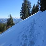 die Nordseite des Gschwändstock ist von pickelhartem, vereistem Schnee überzogen