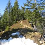 ...Gschwändstock 1616 m.ü.M., der fünfte und höchste Gipfel unserer Tour