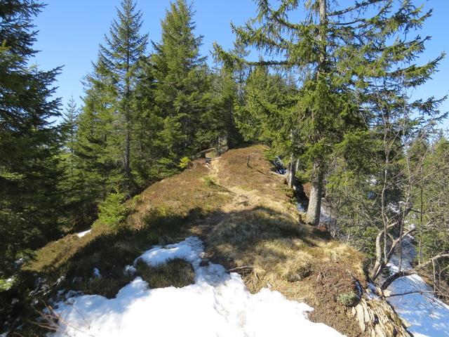 ...Gschwändstock 1616 m.ü.M., der fünfte und höchste Gipfel unserer Tour