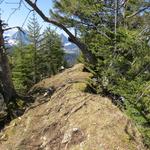 ein sehr schönes Teilstück