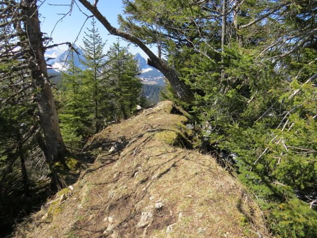 ein sehr schönes Teilstück