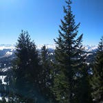 die Aussicht hier oben ist schlicht traumhaft – ein Meer aus Gipfeln, so weit das Auge reicht