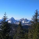 Blick zu den beiden Mythen und zum Haggenspitzli