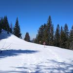 bald darauf erreichen wir mühelos...