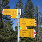 ...die Buziflue auf 1601 m.ü.M., unseren sechsten Gipfel