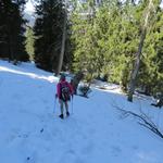 nun wird der Wanderweg wieder einfacher...