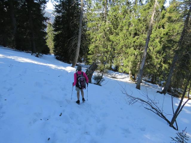 nun wird der Wanderweg wieder einfacher...
