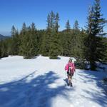 ...und bringt uns über die verbliebenen Altschneefelder weiter abwärts