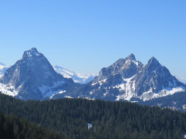 IMG_6483.JPG