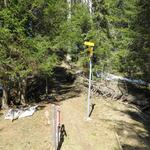wenige Meter vor Punkt 1530 m.ü.M. treffen wir auf eine Weggabelung