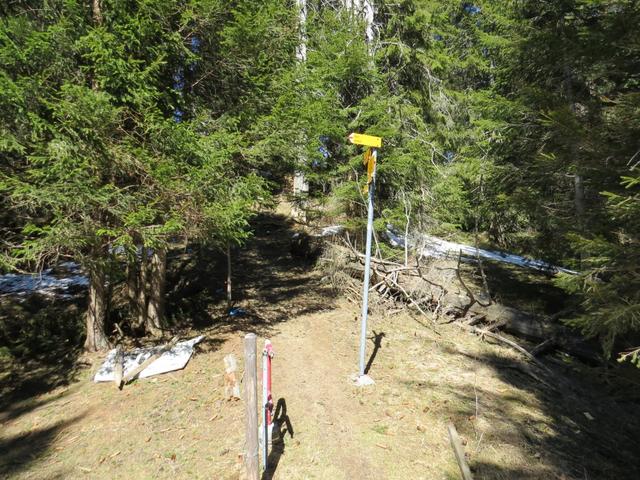 wenige Meter vor Punkt 1530 m.ü.M. treffen wir auf eine Weggabelung