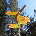 es geht weiter Richtung Amselspitz
