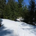 wir bleiben auf dem nun breiten Bergrücken, überqueren Punkt 1530 m.ü.M...