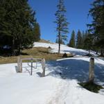 ...und erreichen über offenes Gelände kurz danach den siebten Gipfel der Chopf 1559 m.ü.M.