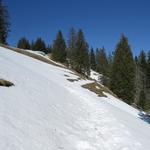 wir lassen den Chopf hinter uns und wandern wieder über Altschneefelder weiter