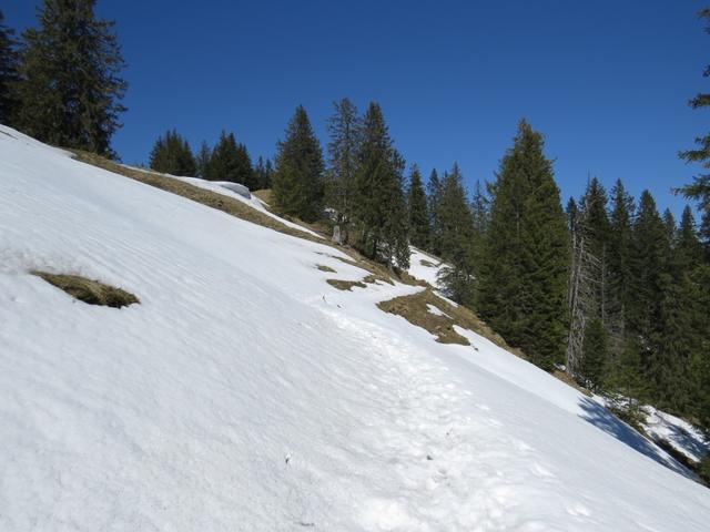 wir lassen den Chopf hinter uns und wandern wieder über Altschneefelder weiter