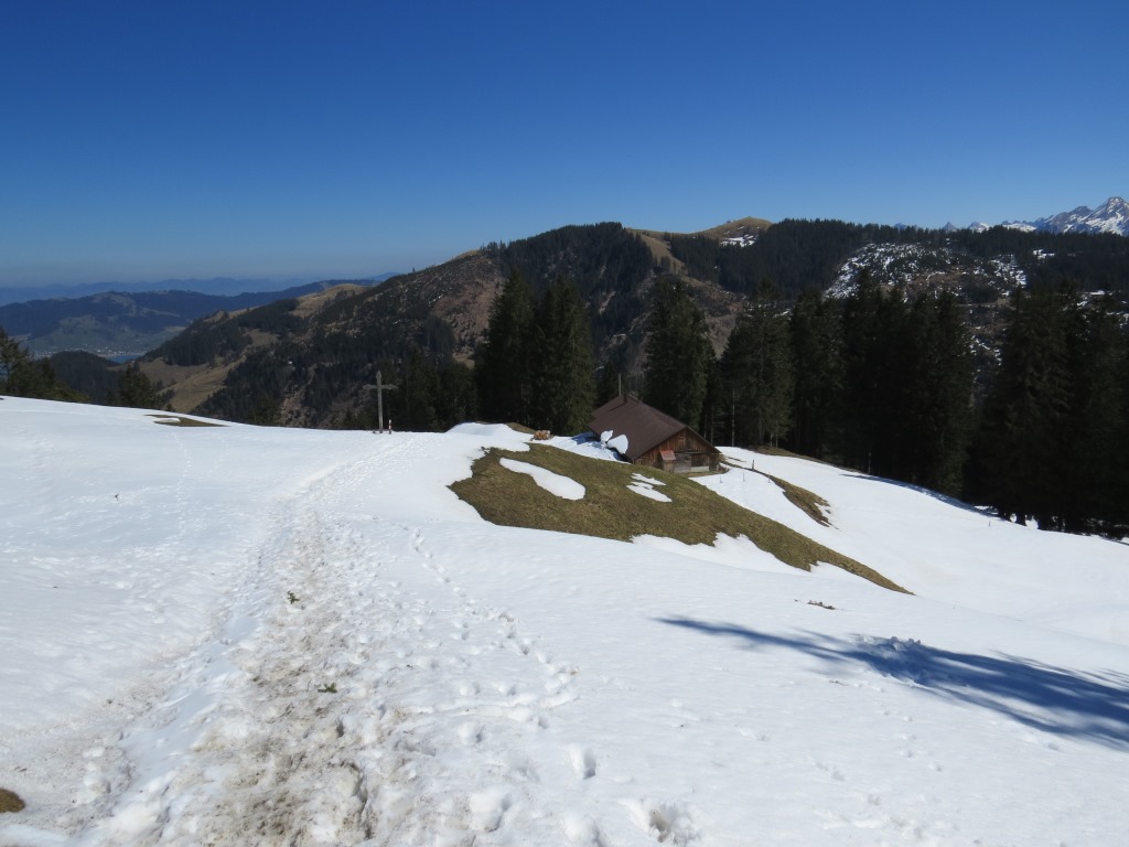im vorbeigehen nehmen wir den achten Gipfel der Gämschspitz 1519 m.ü.M. mit und verlieren danach deutlich an Höhe...