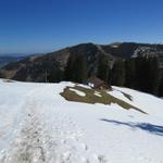 im vorbeigehen nehmen wir den achten Gipfel der Gämschspitz 1519 m.ü.M. mit und verlieren danach deutlich an Höhe...