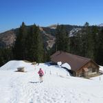 ...bis wir zur Stockhütte gelangen
