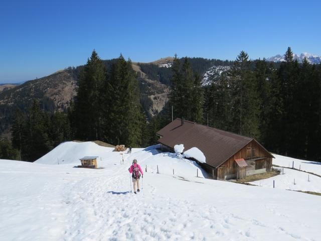 ...bis wir zur Stockhütte gelangen