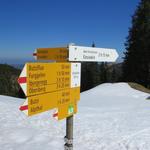 Wegweiser bei der Stockhütte 1451 m.ü.M.