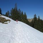 wir verzichten auf eine Einkehr in der Stockhütte und setzen unseren Weg durch offenes Gelände fort