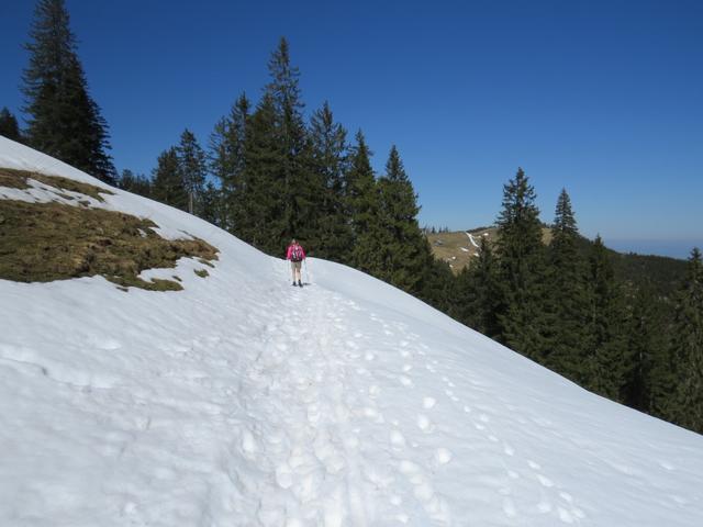 wir verzichten auf eine Einkehr in der Stockhütte und setzen unseren Weg durch offenes Gelände fort