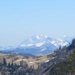 ganz in der Ferne erkennen wir den Säntis