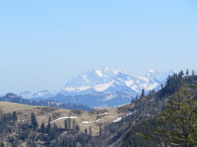 ganz in der Ferne erkennen wir den Säntis