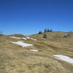 alles auf dem Bergrücken der Amslengschwänd...