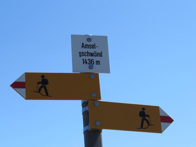 ...wandern wir zum neunten Gipfel der Amselgschwand 1436 m.ü.M.