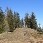 ...und schon bald stehen wir auf dem zehnten Gipfel unserer Tour, der Amselspitz auf 1491 m.ü.M.