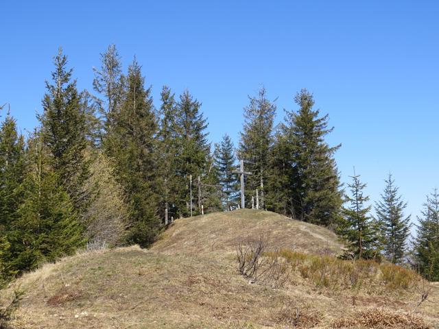 ...und schon bald stehen wir auf dem zehnten Gipfel unserer Tour, der Amselspitz auf 1491 m.ü.M.
