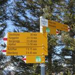 Wegweiser auf dem Amselspitz