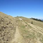 durch offene Alpweiden und mit einer beeindruckenden Aussicht vor Augen, führt...