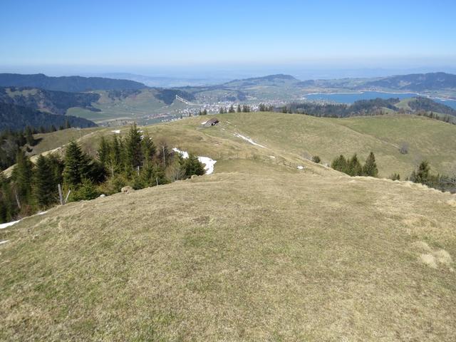Über wegloses Alpgelände steigen wir weiter ab...