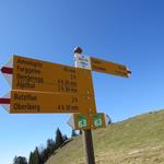 ...Ufem Tritt auf 1309 m ü. M. weiter geht es Richtung Chälen