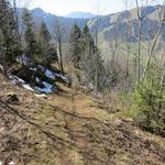 ...und leitet uns anschliessend über den Chüeboden 1113 m.ü.M. hinab in den Bollerenwald