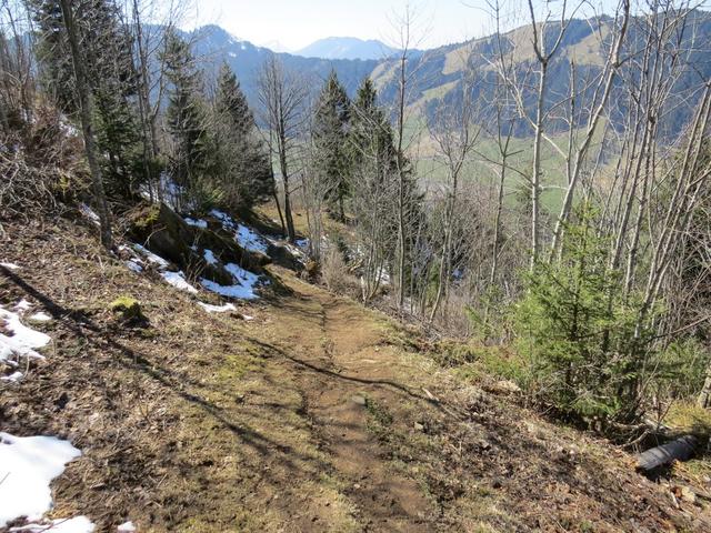 ...und leitet uns anschliessend über den Chüeboden 1113 m.ü.M. hinab in den Bollerenwald