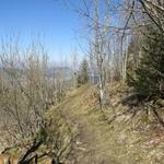 wir tauchen in den Bollerenwald ein und durchqueren ihn auf einem angenehm weichen Waldpfad