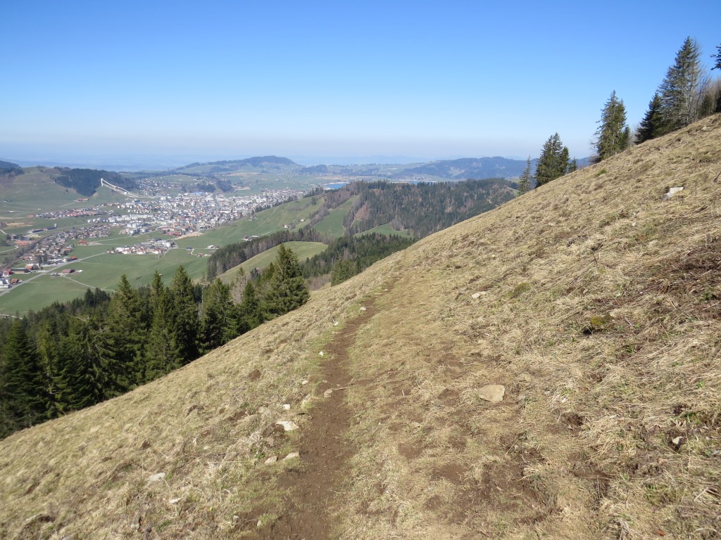 wir verlassen den Bollerenwald, wandern über sanfte Alpweiden...