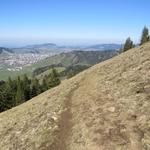 wir verlassen den Bollerenwald, wandern über sanfte Alpweiden...