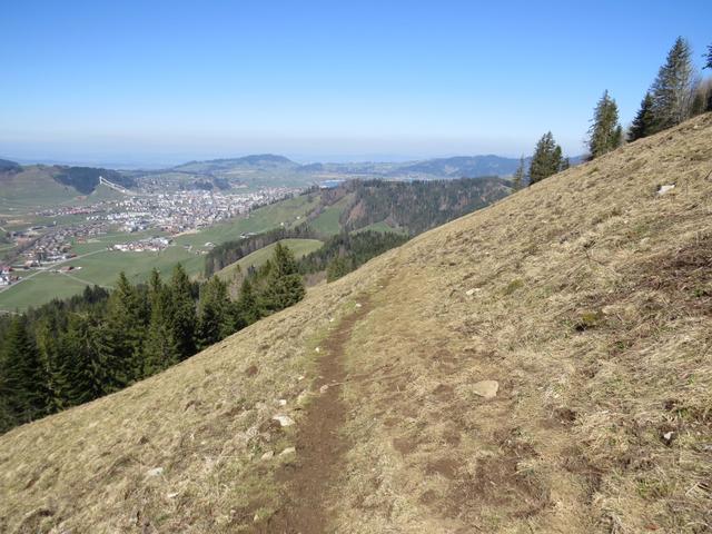 wir verlassen den Bollerenwald, wandern über sanfte Alpweiden...