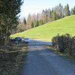 ...und stehen kurz darauf an der Wegkreuzung Chälen auf 1022 m ü. M.