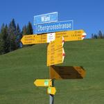 weiter geht es Richtung Rämpelensäge, wo wir am Morgen gestartet sind