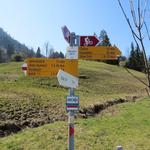 ...an der Wegkreuzung bei Obergross auf 992 m.ü.M.